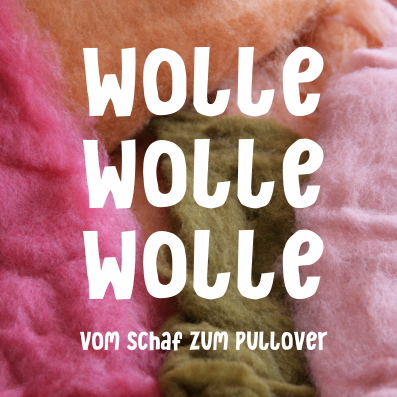 Wolle, Wolle, Wolle – vom Schaf zum Pullover, Projekt von Halle 36 e.V.